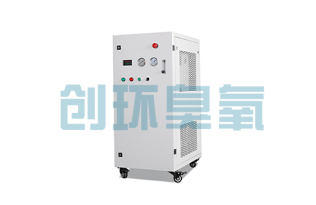 青海比传统换水更高效?臭氧发生器在石斑鱼养殖中的水质净化原理解析